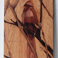 Cardinal bird marquetry - Project by Andulino