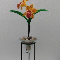 Hawaiian Leopard Orchid