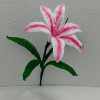 Free Crinum Lily Pattern (Milk and Wine)