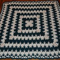 Spiked Cluster Afghan - Project by Transitoria