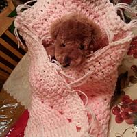 Soft pink & white Blankie