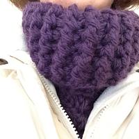 Cowl Neckwarmer - Project by Lisa