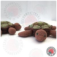 Hideaway Turtle Coaster Sets