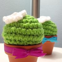 Housewarming Cactus