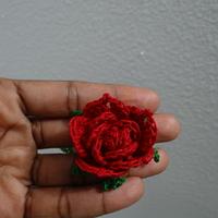 Miniature Rose