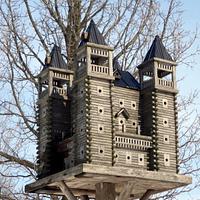 Extreme Birdhouses 