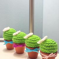 Housewarming Cactus
