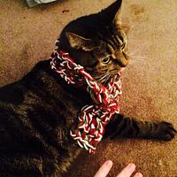 Cat scarf - Project by MandaPanda