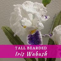 Iris Wabash