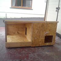 Feral cat shelter