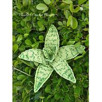 Demi Aloe Succulent - Project by Flawless Crochet Flowers
