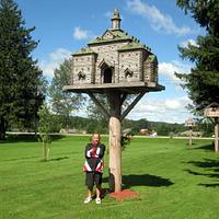 Extreme Birdhouses  - Project by John L