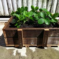 Fence picket planter boxes - Project by Brian
