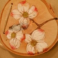 Dogwood Blossoms - Project by CharleeAnn