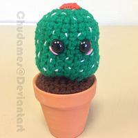 Tiny Cactus