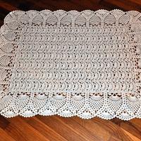 Exquisite Baby Afghan - Project by Transitoria