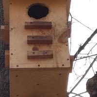 Squirrel nesting box. - Project by roughframe