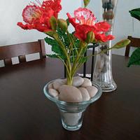 Royal Poinciana, Flamboyant, Delonix Regia