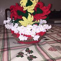 Poinsettia flowers  - Project by dee