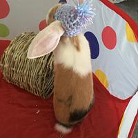 Crochet Pom Pom Hat for Bunnies
