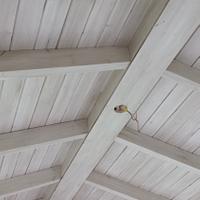 wood ceiling