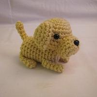 YELLOW LABRADOR RETRIEVER