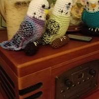 More budgies - Project by Charlotte Huffman