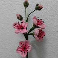 Pink Blackberry Blossoms