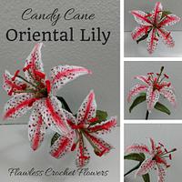 Candy Cane Oriental Lily Flower Pattern - Project by Flawless Crochet Flowers