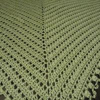 Plain Green Shawl