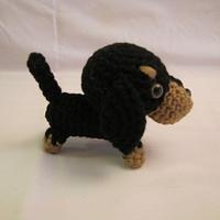 DACHSHUND BLACK & BROWN