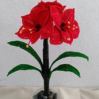 Amaryllis Flower Pattern