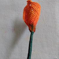 Mini Flame Calla Lily