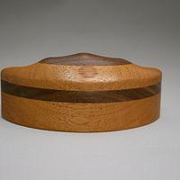 Diatom #1 Wooden Box