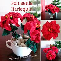 Crochet Poinsettia Harlequin - Project by Flawless Crochet Flowers