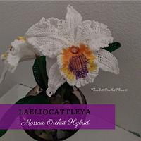 Laeliocattleya Orchid - Project by Flawless Crochet Flowers
