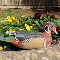 Carving of Wood Duck Drake - Project by Rolando Pupo