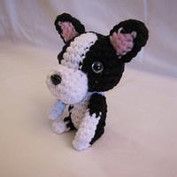 BOSTON TERRIER