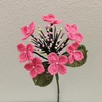 Lacecap Hydrangea - Project by Flawless Crochet Flowers