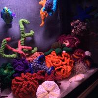 My crocheted aquarium