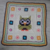 Owl baby blanket - Project by MilmoCreations