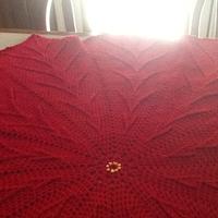 Pointsetta afghan,just finished - Project by Debbie24