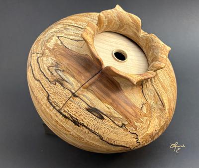 Vessel of Illusion - Project by Lew