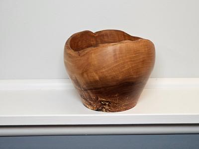 Natural Edge Bowl - Project by Mosquito