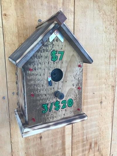 Birdhouse Money Box - Project by Kel Snake