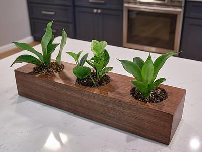 Succulent/Cactus/Miniature-plant Planter - Project by Ron Stewart
