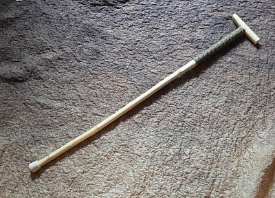New Cane - Project by Birdseye49