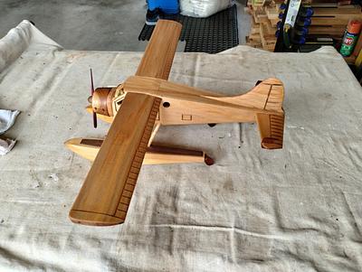 de Havilland Beaver Float Plane - Project by Peter Jones 