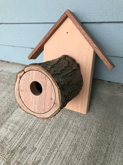 Log birdhouse - Project by Scott