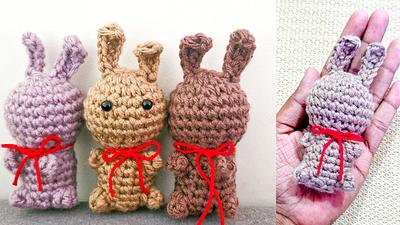 Easy Crochet Bunny Amigurumi - Project by rajiscrafthobby